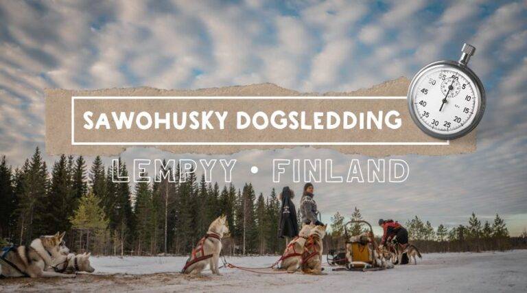 This is where you want to go dogsledding in Finland