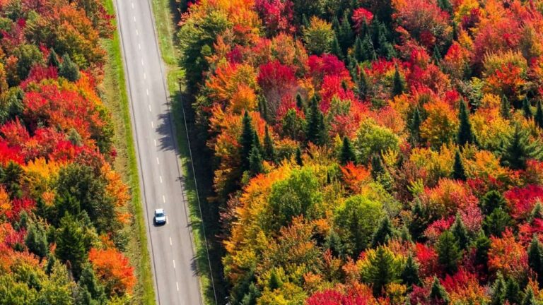 10 Scenic Fall Drives Across the U.S. Ranked—and #2 Will Surprise You