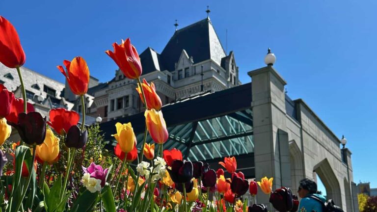 Fairmont Empress Victoria, BC Hotel Review