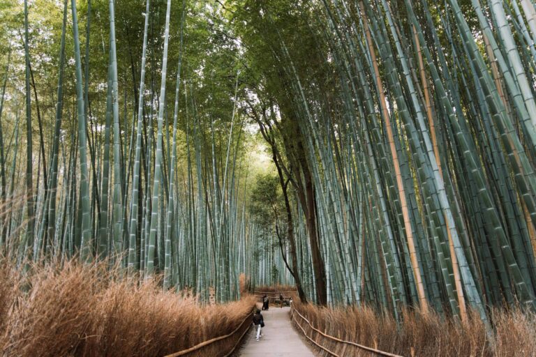 16 Practical Tips and Cultural Facts